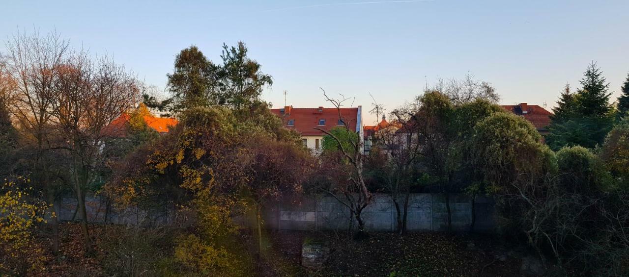 Apartament Styczynskiego Gliwice Exteriör bild